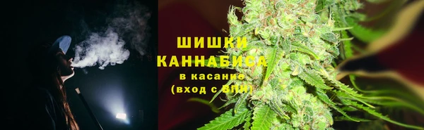 стаф Богданович
