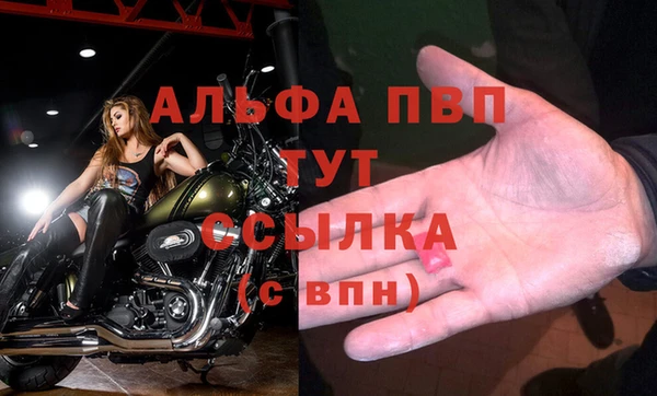 таблы Богородицк