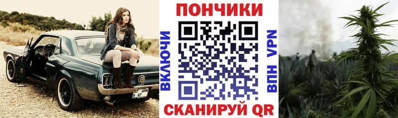 Бошки Шишки план  наркошоп  Бирюч 